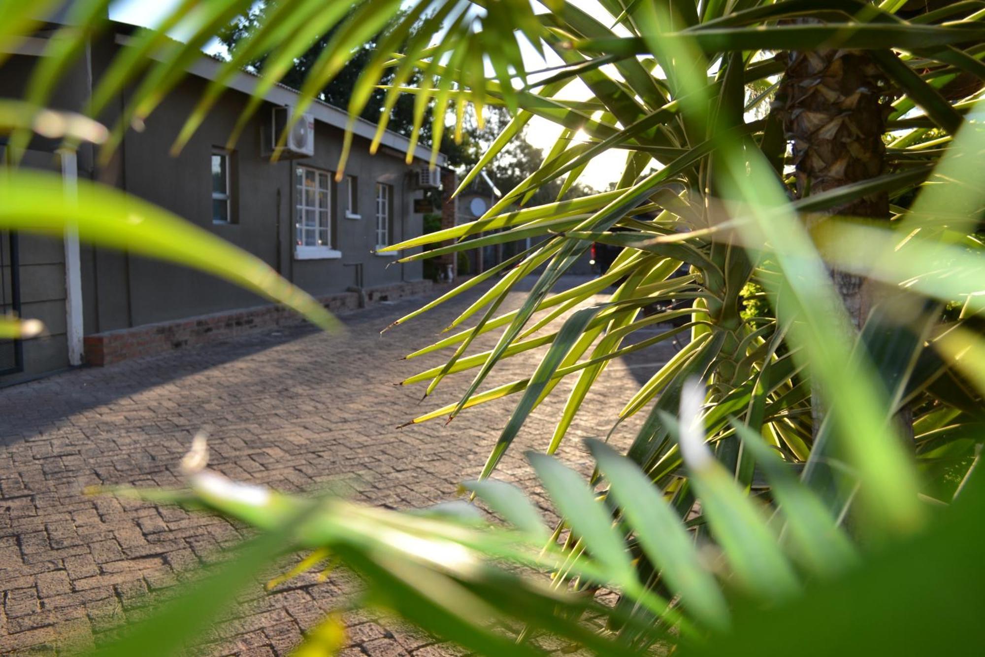Travel North Guesthouse Tsumeb Zewnętrze zdjęcie